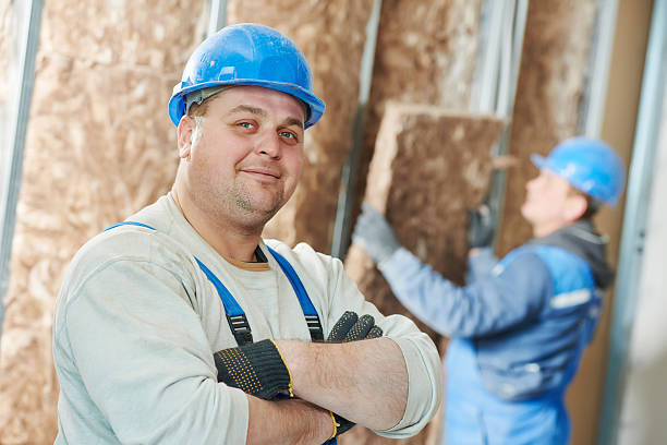 Best Insulation Inspection Services  in Marysville, MI